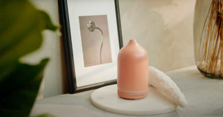 Guide til rengøring og vedligeholdelse af din diffuser